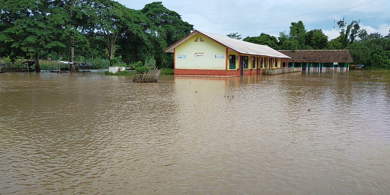 Banjir di Oku Selatan, Sawah Seluas 3,5 Hektar Terancam Gagal Panen