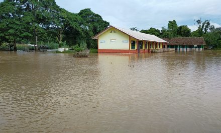 Banjir di Oku Selatan, Sawah Seluas 3,5 Hektar Terancam Gagal Panen