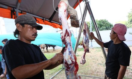 Rekomendasi Kementan dalam Kegiatan Kurban di Masa Pandemi COVID-19