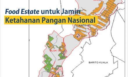 Food Estate untuk Jamin Ketahanan Pangan Nasional
