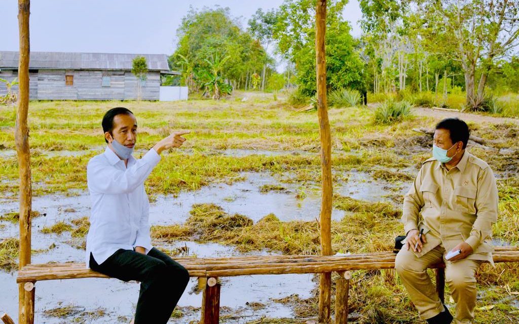 Presiden: Lumbung Pangan Baru untuk Antisipasi Krisis Pangan