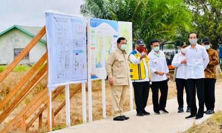 Presiden Tinjau Lokasi Pengembangan Lumbung Pangan Nasional di Kabupaten Kapuas