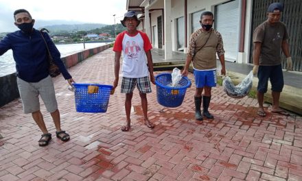 Ratusan Ikan Dari Ambon Diterbangkan ke Jakarta untuk Pasien COVID-19