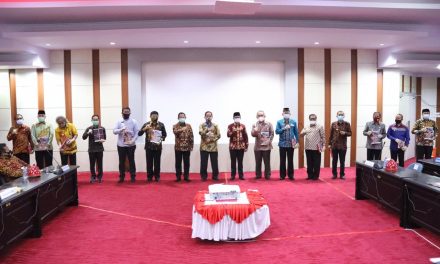 Mendagri Apresiasi Provinsi Sulteng Atas Kesiapan Pilkada dan Anggaran NPHD Yang Sebagian Besar Sudah Mencapai 75%
