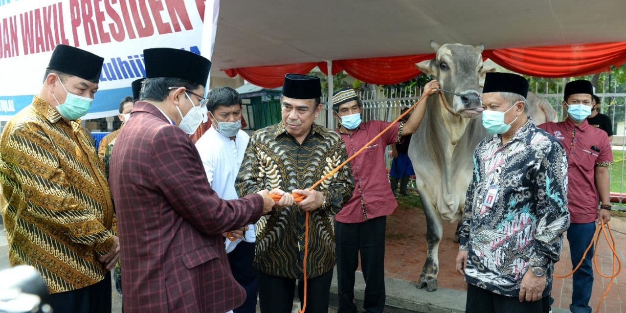 Presiden Jokowi Serahkan Hewan Kurban di Masjid Istiqlal