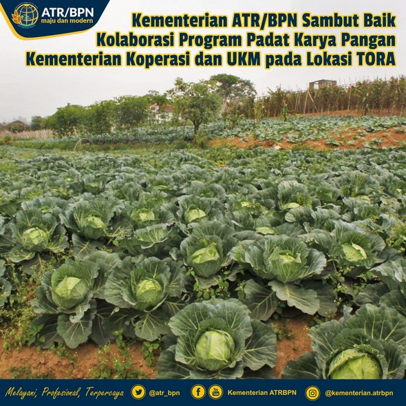 Kementerian ATR/BPN Sambut Baik Kolaborasi Program Padat Karya Pangan Kementerian Koperasi dan UKM pada Lokasi TORA