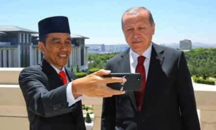 Lewat Sambungan Telepon, Presiden Jokowi Sampaikan Selamat Iduladha kepada Presiden Erdogan