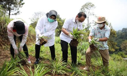 Wamendes Takjub Melihat Hamparan Tanaman Pertanian Organik Boja Farm Bogor
