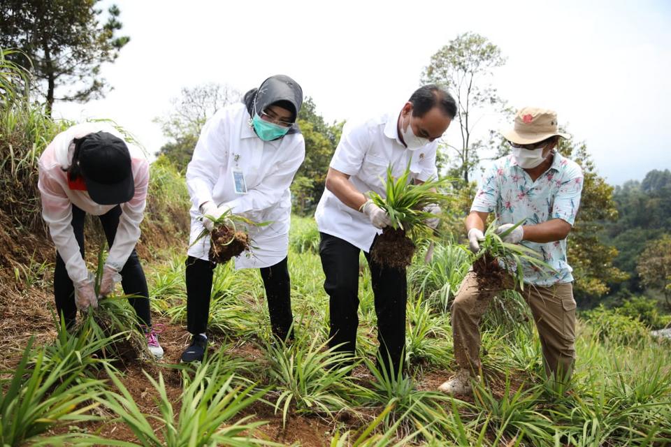 Wamendes Takjub Melihat Hamparan Tanaman Pertanian Organik Boja Farm Bogor