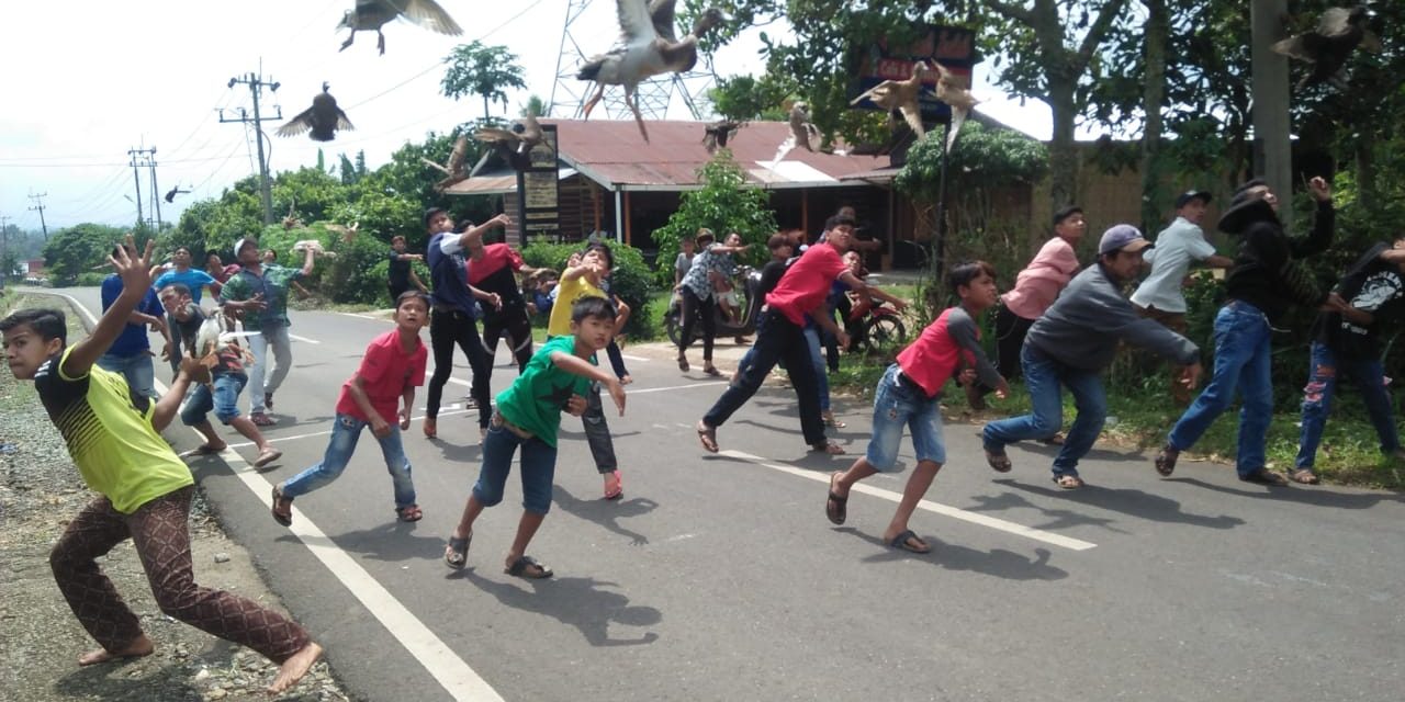 Pacu Itiak, Ditetapkan Sebagai Warisan Budaya Tak Benda Indonesia, Simak Sejarahnya