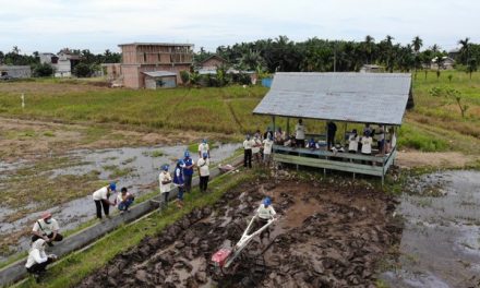 Mitigasi Partisipatif, Cara BNPB Kurangi Karhutla di Jambi