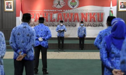 Peringati Hari Pahlawan, Wamendes PDTT Ajak Masyarakat untuk Bersatu dan Gotong Royang