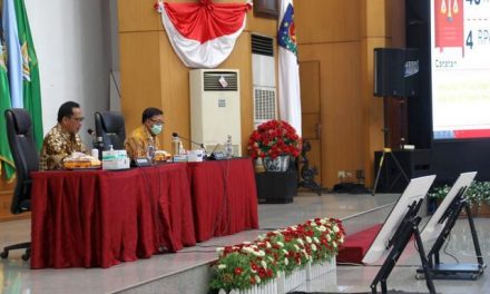 Mendagri Minta Pemda dan DPRD Mendukung RPP