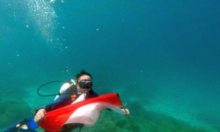 Diving di Laut Raja Ampat, Wamendes PDTT: Potensi Alam Raja Ampat Sangat Luar Biasa