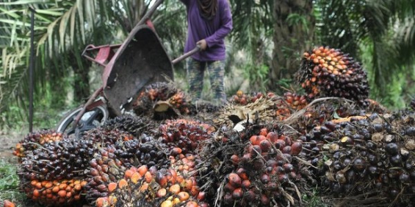 PEMBANGUNAN ENERGI TERBARUKAN (GREEN FUEL) BERBASIS KELAPA SAWIT