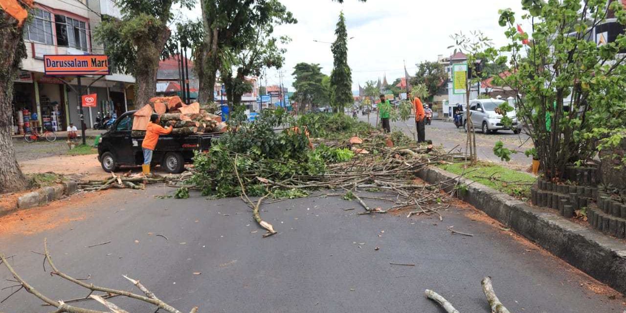 Tekan Bahaya di Musim Hujan, DLH Pangkas Ratusan Pohon