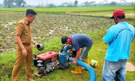 Aksi Turun Lapangan Wawako Erwin Yunaz Menyatu Bersama Petani Bagi Semangat Bertanam