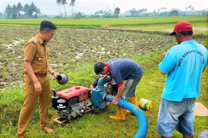 Aksi Turun Lapangan Wawako Erwin Yunaz Menyatu Bersama Petani Bagi Semangat Bertanam