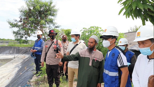 Listrik PLN Genjot Produktivitas Petambak Bratasena Lampung