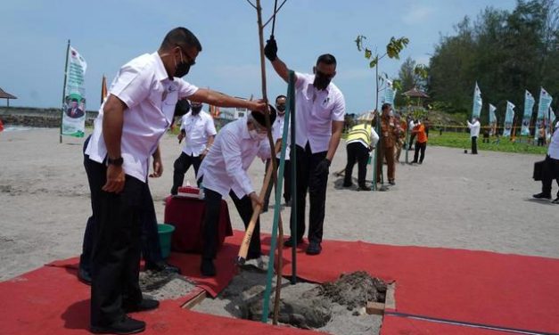 Mitigasi Dampak Tsunami, Wapres RI Tanam Pohon di Pariaman