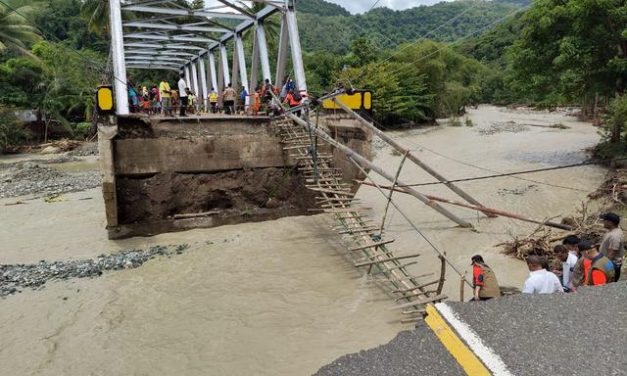 Giat Penanganan Banjir Bandang, Kepala BNPB Tinjau Lokasi Terdampak