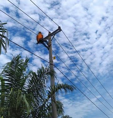 PLN Listriki Desa Sentra Tambak Udang di OKI, Sumsel