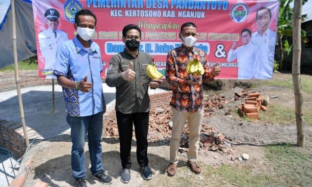 Pisang Cavendish BUMDes Pandanwangi Siap Bersaing dengan Produk Supermarket