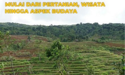 Potensi Besar Kawasan Mega Terasering, Mulai dari Pertanian, Wisata hingga Aspek Budaya