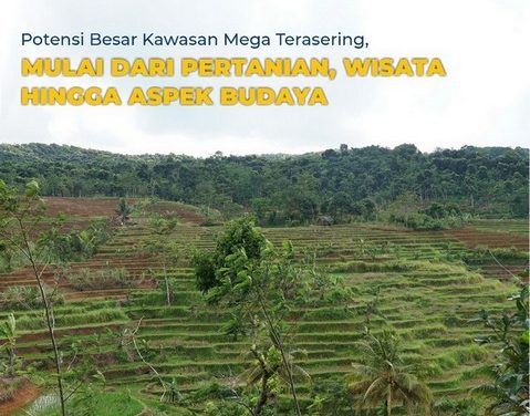 Potensi Besar Kawasan Mega Terasering, Mulai dari Pertanian, Wisata hingga Aspek Budaya