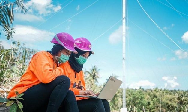 Kiprah Dua Srikandi PLN, Ikut Dirikan Tower Listrik Darurat di NTT