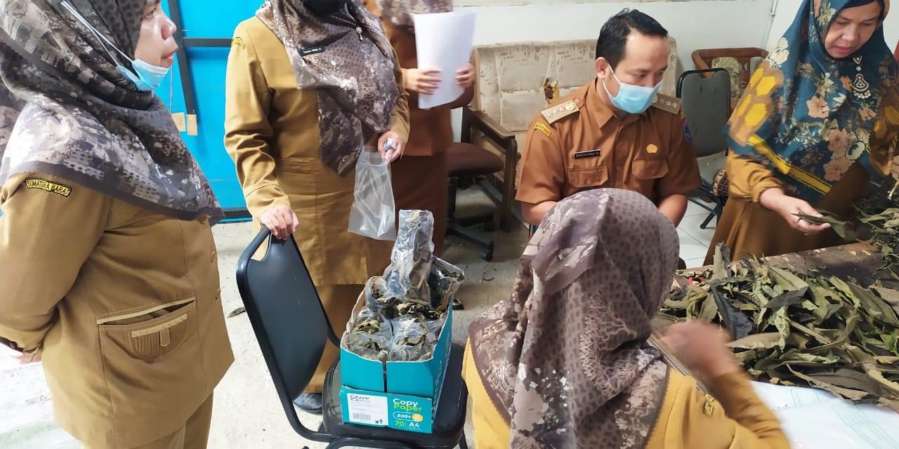 Ampuh Turunkan Panas Demam dan Tingkatkan Imun, Camat Payakumbuh Timur Bagikan Daun Sungkai Untuk Masyarakat Positif Covid-19