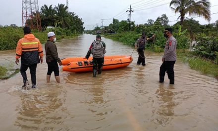 Banjir Hingga 3 Meter Kepung 17 Desa di Aceh Singkil