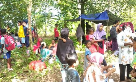 Update Gempa Maluku, BNPB Terus Monitor Dampak Gempa M 6,1
