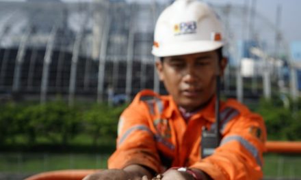 Sukses Co-Firing 17 PLTU, PLN Hasilkan Energi Hijau Setara 189 MW