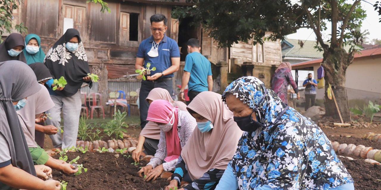 Wakil Wali Kota Payakumbuh Bersama Kelompok Tani Manfaatkan Lahan