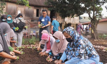 Wakil Wali Kota Payakumbuh Bersama Kelompok Tani Manfaatkan Lahan