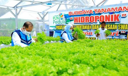 PLN Salurkan Rp 4,8 Miliar Bantu Petani di 54 Lokasi Lewat Program Electrifying Agriculture