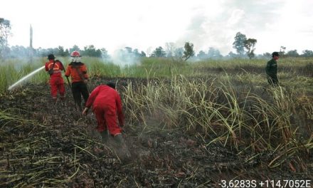 Tiga Titik Lahan Terbakar Seluas 9 Ha di Tanah Laut berhasil dipadamkan