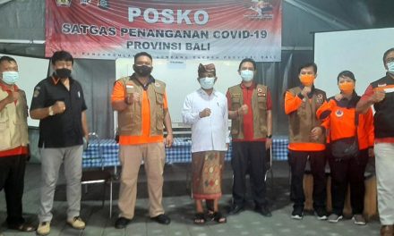 BNPB Dorong Pengendalian COVID-19 untuk Percepatan Pemulihan Ekonomi di Pulau Dewata