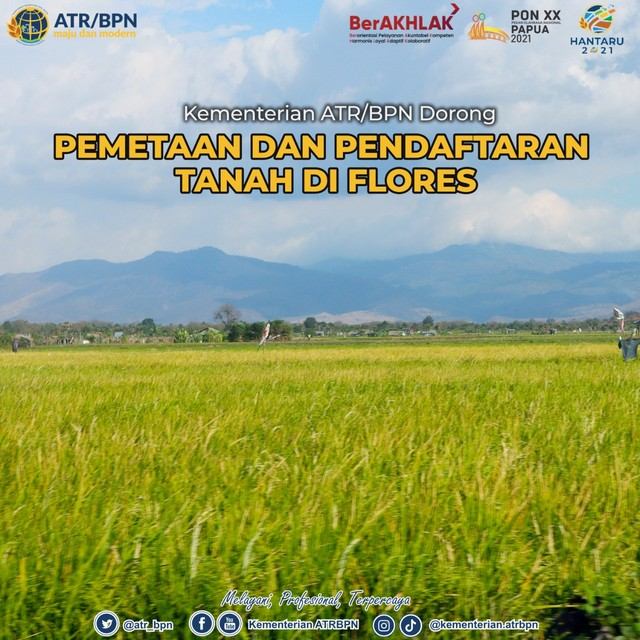 Kementerian ATR/BPN Dorong Pemetaan dan Pendaftaran Tanah di Flores