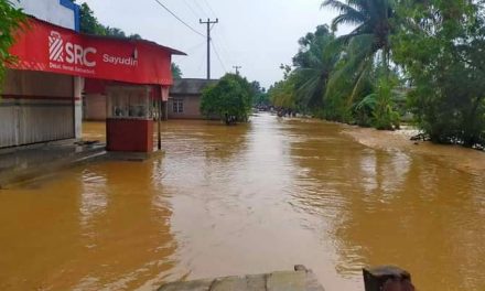 Lima Desa Warga Tanggamus Terdampak Banjir, Dua Rumah Rusak Berat