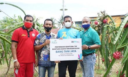 Gunakan Listrik untuk Rekayasa Sinar Matahari, Hasil Panen Petani Buah Naga Naik 2,5 Kali Lipat