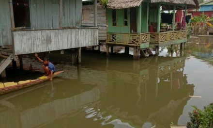 Banjir Genangi Pemukiman Warga Luwu Utara, Tak Ada Korban Jiwa