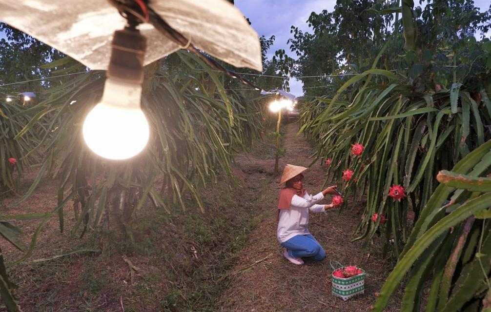 Ekonomi Mulai Menggeliat, PLN Jalankan 4 Strategi Untuk Dorong Konsumsi Listrik