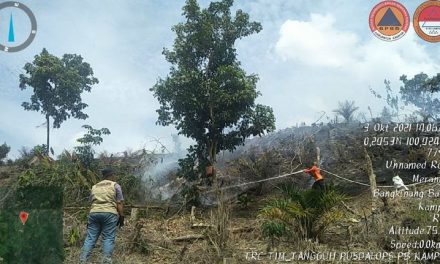 Tim Reaksi Cepat Berhasil Padamkan Kebakaran Lahan di Kampar