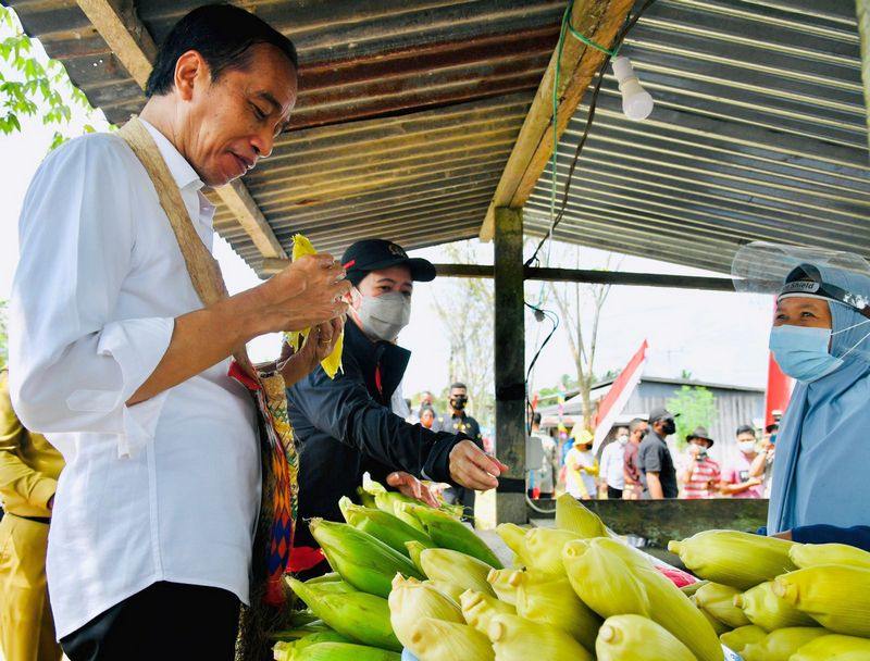 Saat Presiden Jokowi Mampir Beli Jagung di Penjual Pinggir Jalan