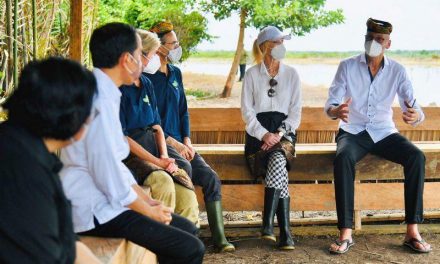 Kesan dan Apresiasi Para Dubes Ikut Tanam Mangrove Bersama Presiden