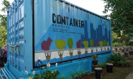 PLN Dukung Program Container Farming Pertama di Ibu Kota, Percepat Masa Tanam Hidroponik