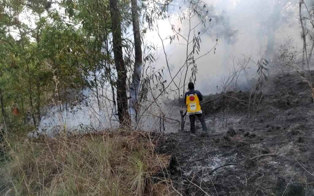Kebakaran Semak dan Lahan Terjadi di Taman Wisata Alam Gunung Batur Bukit Payang Bangli