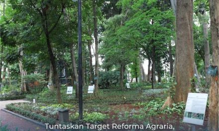 Tuntaskan Target Reforma Agraria, Pemerintah Dorong Percepatan Penyediaan TORA yang Bersumber dari Kawasan Hutan
